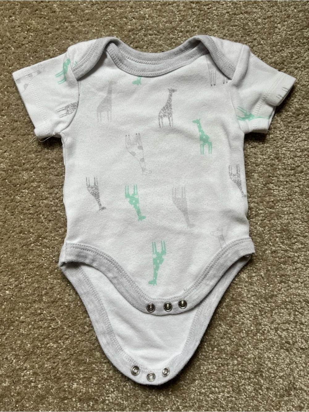 3/$10 or 5/$15 Baby One-Piece Bodysuit with Giraffe Print